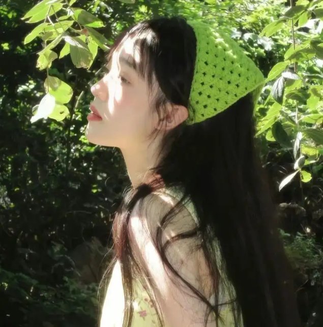 斑马头